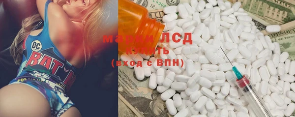 стафф Алексин