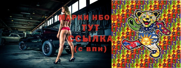ПСИЛОЦИБИНОВЫЕ ГРИБЫ Алексеевка