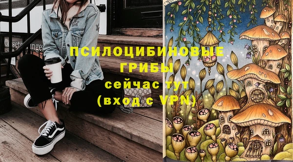 Альфа ПВП Алзамай